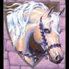 HC