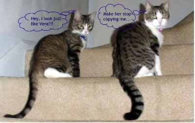Gracie and Vera