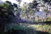 pic1.jpg (81472 bytes)
