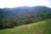 view2.jpg (28958 bytes)