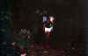 trek2.jpg (80084 bytes)