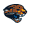 Jaguars