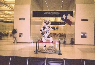 The Astronaut Steer welcomes visitors to Houston, Texas in 2002