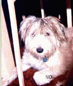 nicky