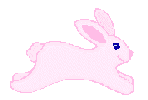 bunny