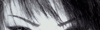 http://lily.rocks.it