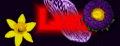 .:Links:.