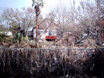Hurricane Katrina Photo