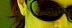 hide... sunglasses.. sunglasses