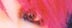 hide.. who did u think it was??