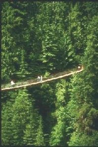 Amazing Bridge Photo