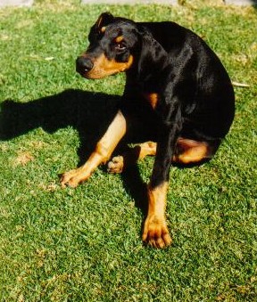 15/04/97
