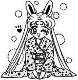 usa-kimono.jpg (9088 bytes)