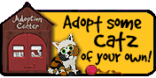 Adopt some Catz of your own!