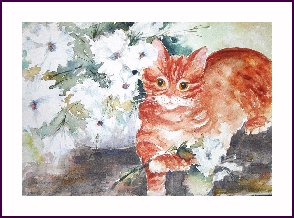 Cats and Other Creatures