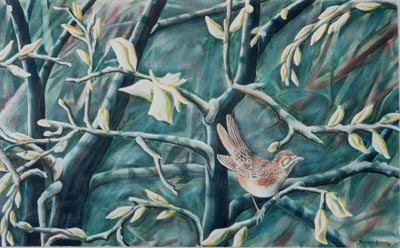 Karolyn's Little Bird �1992