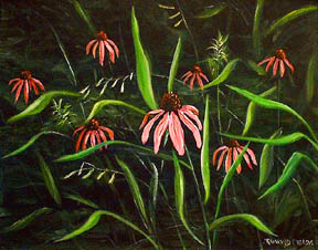 Coneflowers �2000