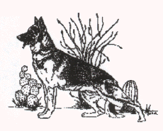 German Shepherd Dog Breed Rescue Sponsored by The German Shepherd Dog Club of Southern AZ