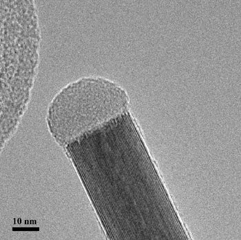 WS2 tube with WOx polyp