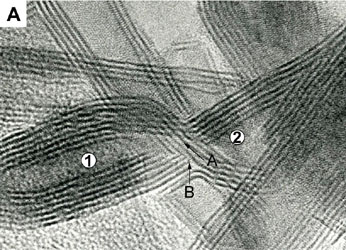 WS2 fused structure