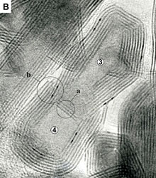 WS2 fused structure