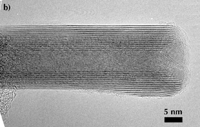 WS2 tube