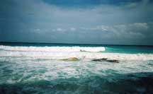 We never get tired of those waves