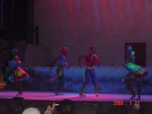 The show consisted of several different dances, themes and costumes, performed by professional dancers.