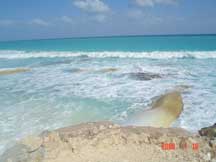 The sandbags will eventually erode from the beating of the waves and deposit the sand to reestablish the beach.