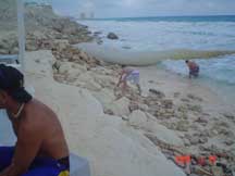 Jon & Keith began scouring for shells right away