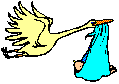 stork.gif