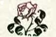 wedding pages jpg 10kb