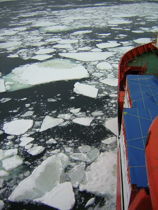 Floating Pack Ice, Southern Ocean