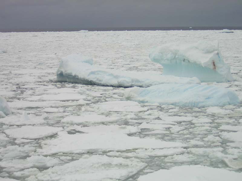 Bergy Bits and Pack Ice, Southern Ocean