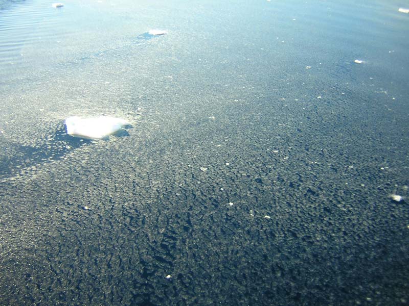 New Pancake Ice, Southern Ocean