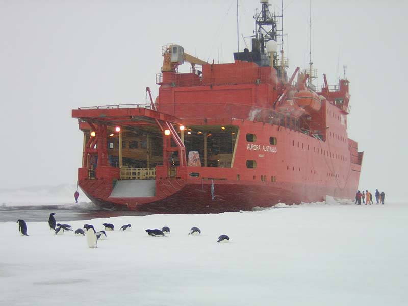 Aurora Australis, Parked near Davis Station, Antarctica