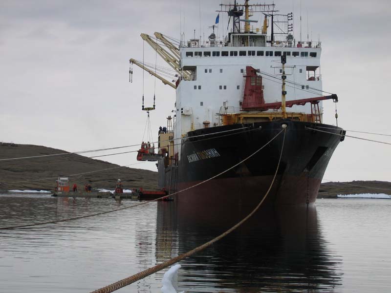 Vasiliy Golovnin in Horseshoe Harbour, Mawson, Antarctica