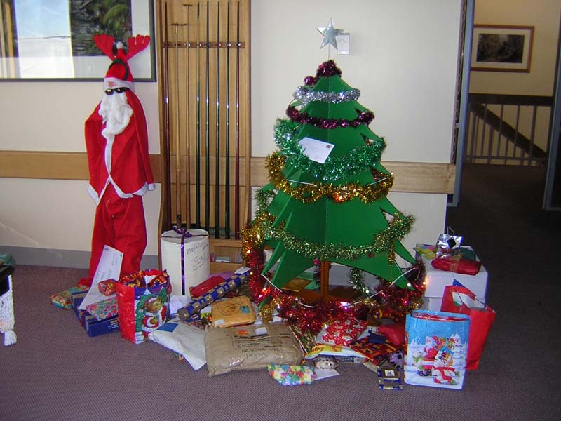 Christmas Tree, Mawson Lounge, Antarctica