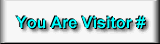You 
are visitor#