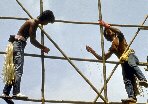 Bamboo scaffolding