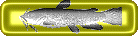 catfish button