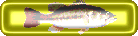 largemouth bass button