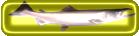 salmon button