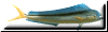 dolphin fish button
