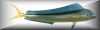fishing button