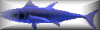 tuna button