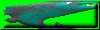 chartreuse bass button