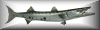 barracuda button