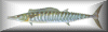 another wahoo button