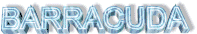 3d animation barracuda